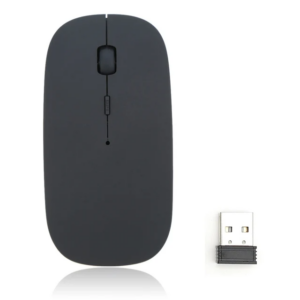 Souris Sans Fil Ergonomique pour Ordinateur